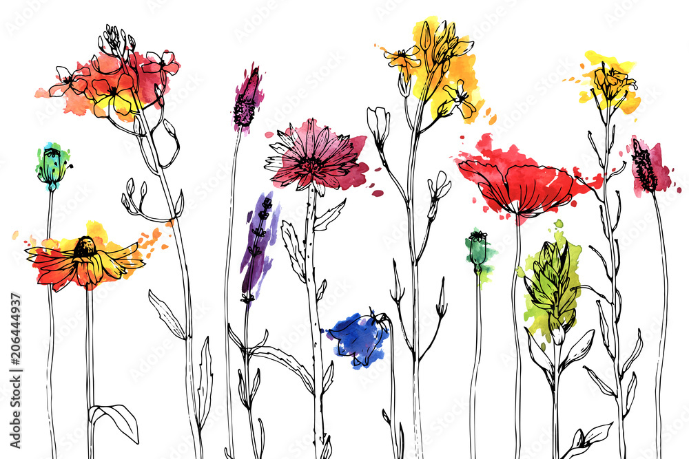 Naklejka premium Vector drawing herbs and flowers