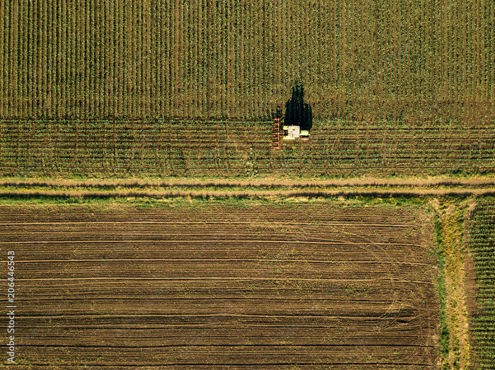 Obraz premium Tractor cultivating corn crop field, aerial view