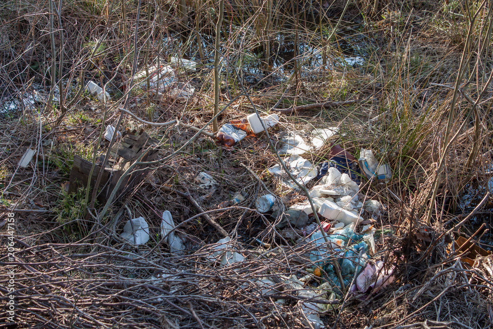 Obraz premium Garbage in the forest. Nature pollution.