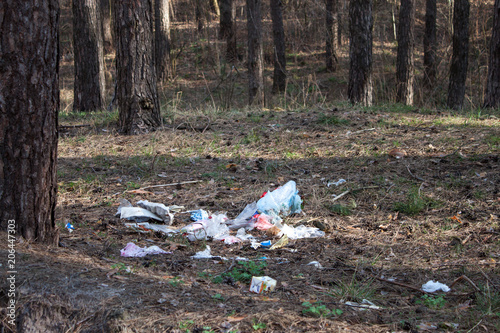 Garbage pollution in the forest
