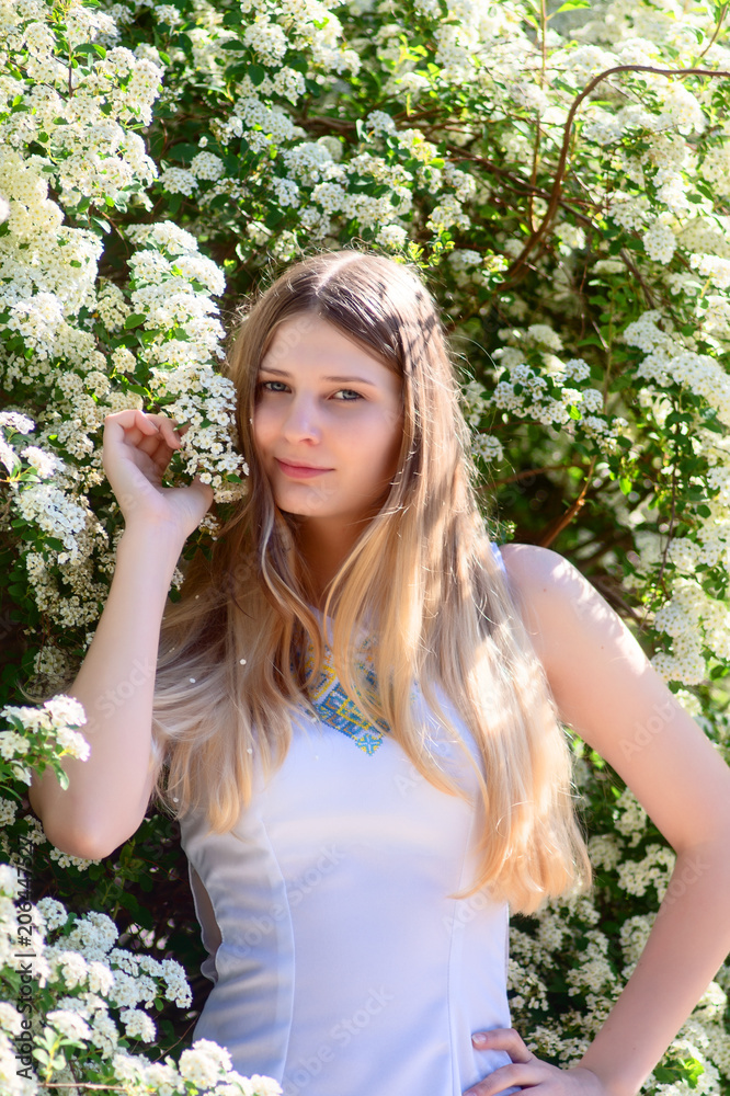 The young girl in white dress stands at the white flowers. The young girl in white dress stands at the white flowers.