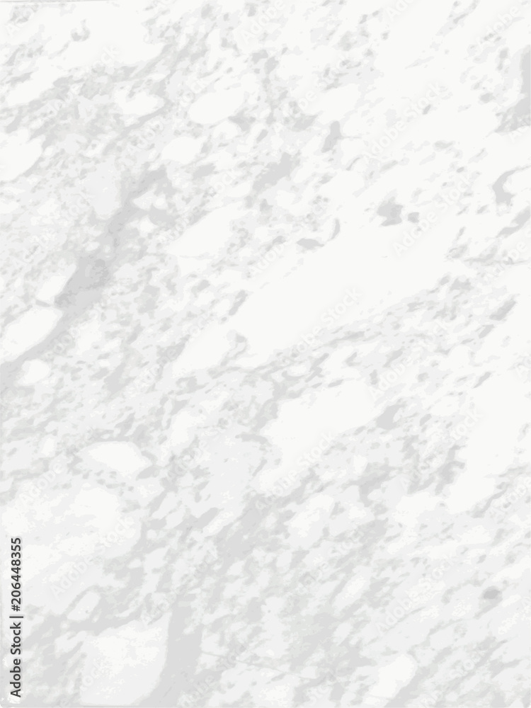 White marble texture Vector background.