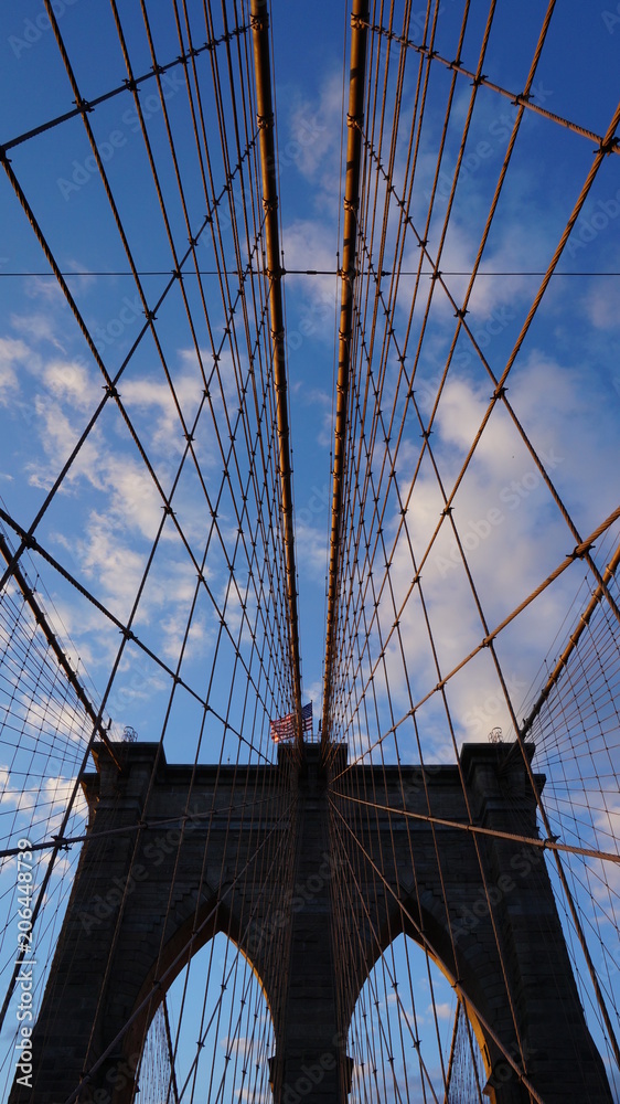 Fototapeta premium New York Skyline