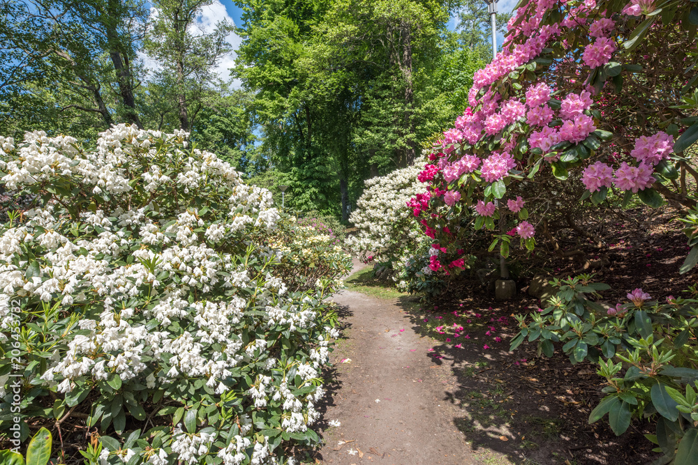 Spring atmosphere in the city park along Motala river in Norrkoping. Norrkoping is a historic industrial town in Sweden.