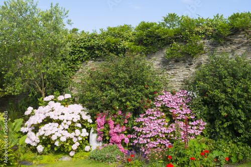Fototapeta Naklejka Na Ścianę i Meble -  A beautiful summer walled garden border flowerbed
