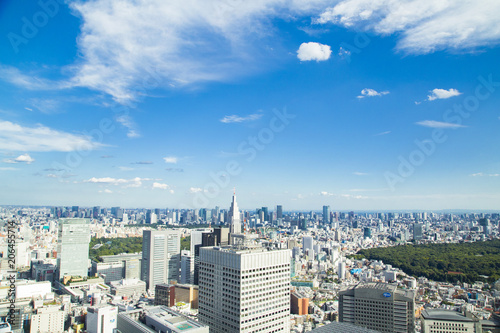Cityscape of Shinjuku Metropolitan Government Lookout Tokyo