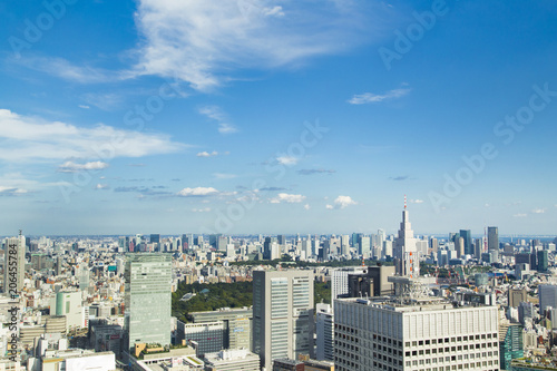 Cityscape of Shinjuku Metropolitan Government Lookout Tokyo