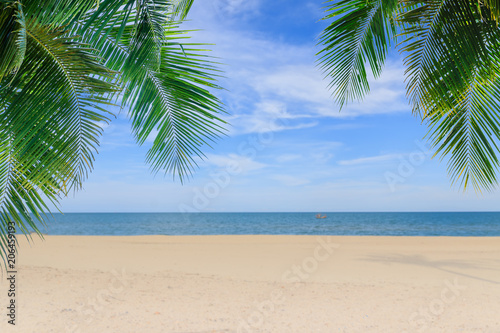Palm leaf and beach in summer ,concept sea and sky background