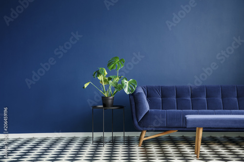 Big plant on a stool next to a comfy couch and checkered tiles set in a living room interior. Place your product