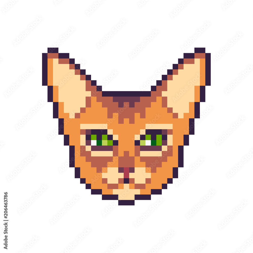Pixel art vector abyssinian cat icon isolated on white background. Pixel art vector abyssinian cat icon isolated on white background.