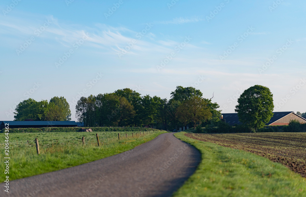 Country road in rural landscape with blue sky during spring.