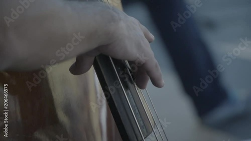 Musico concierto