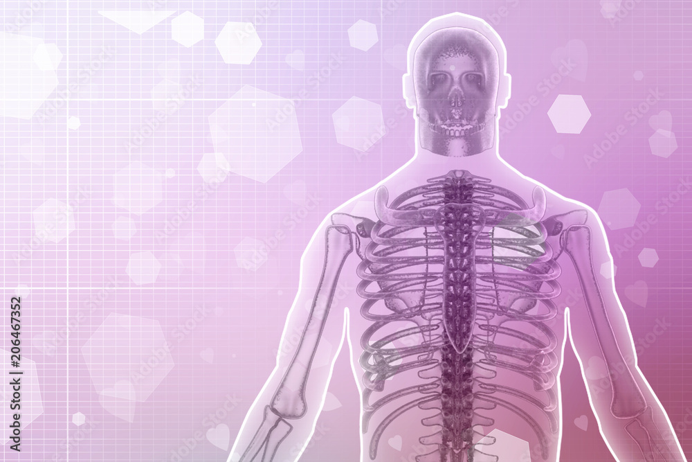 3d render Human lungs and rib 3d render Human lungs and rib