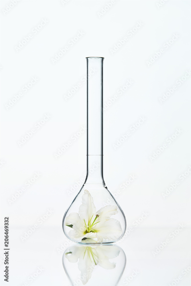 Flower In Laboratory Glass Flower In Laboratory Glass