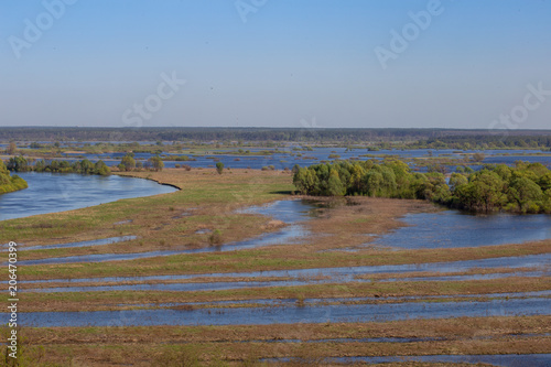 Valley and meanders of Desna river. Overflooded flood plain willow forest in spring, Ukraine. photo