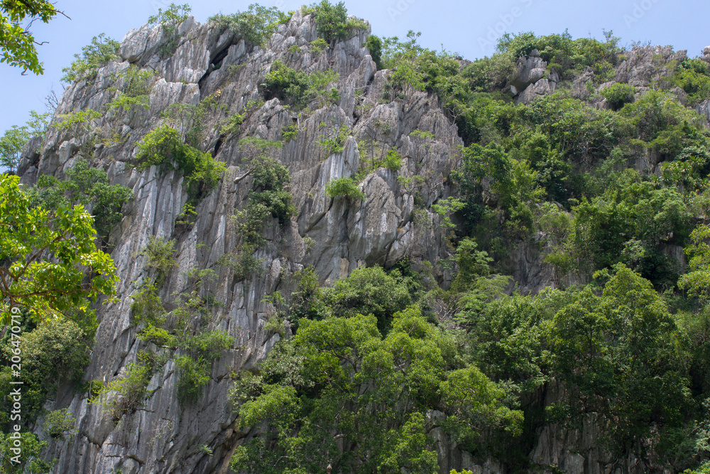 mountain in summer at Thailand 