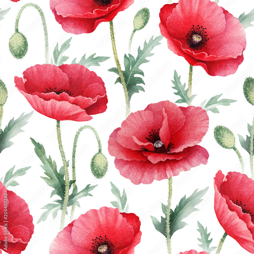 Obraz premium Watercolor illustrations of poppy flowers. Seamless pattern