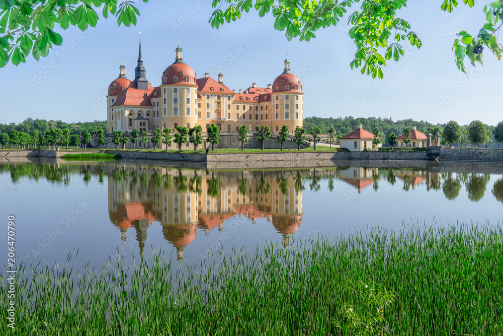 Naklejka premium Barockschloss Schloss Moritzburg, Moritzburg, Sachsen, Deutschland, Wasserschloss