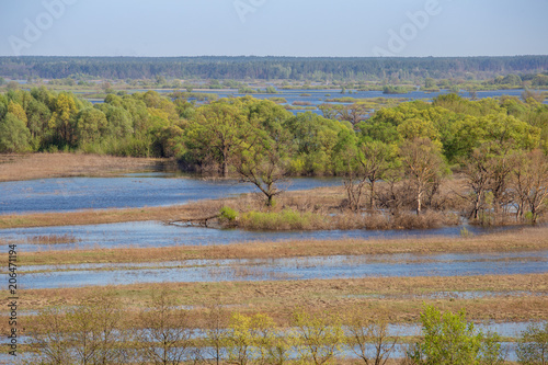 Valley and meanders of Desna river. Overflooded flood plain willow forest in spring, Ukraine.