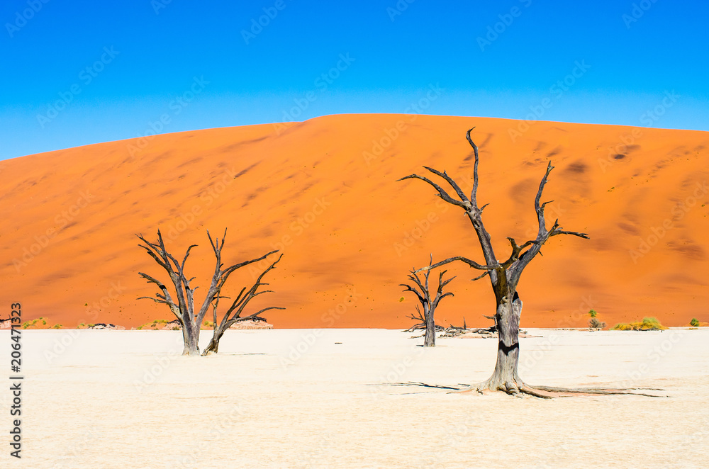 Colorful dunes at Deadvlei in the Namib Desert in Namibia, Southern Africa Colorful dunes at Deadvlei in the Namib Desert in Namibia, Southern Africa