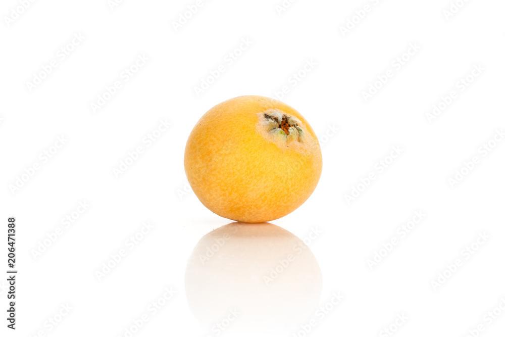 One fresh Japanese loquat isolated on white background yellow. One fresh Japanese loquat isolated on white background yellow.