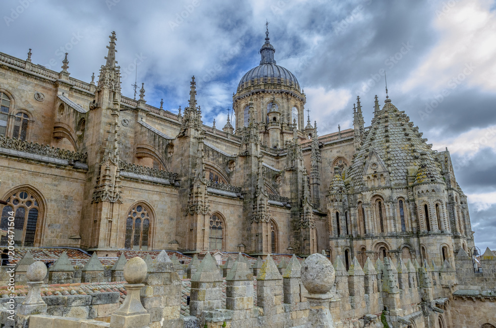 Cupulas de la catedral de  Salamanca