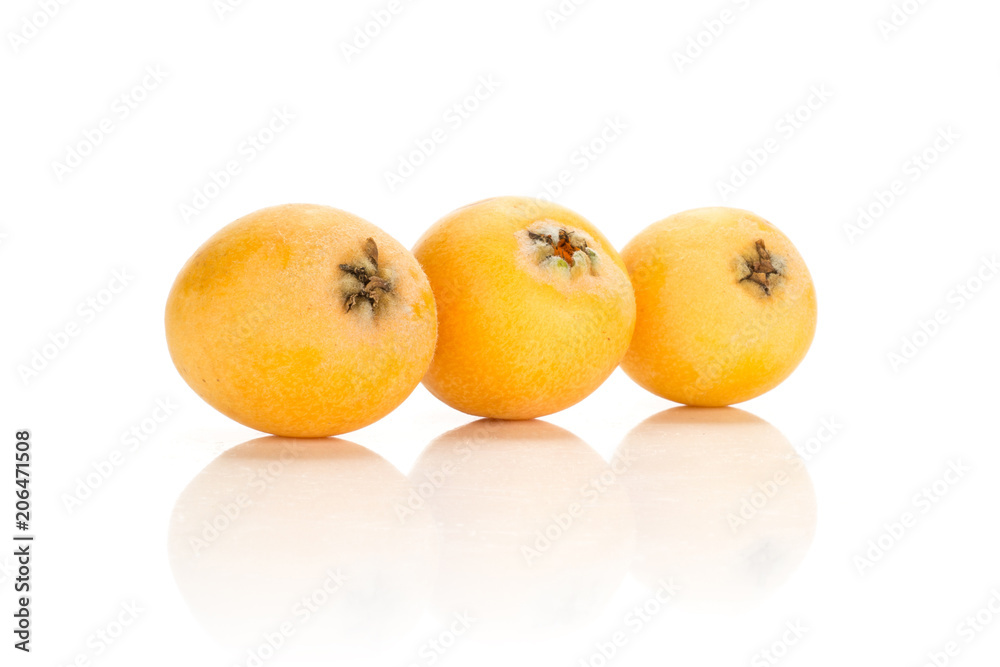 Three fresh orange Japanese loquats in row isolated on white background. Three fresh orange Japanese loquats in row isolated on white background.