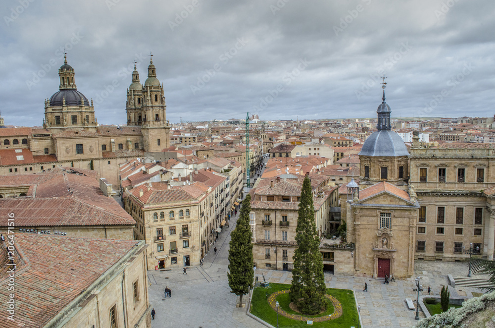 Vista desde lo alto de la catedral de Salamanca