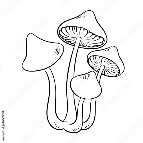 Narcotic mushroom coloring vector illustration