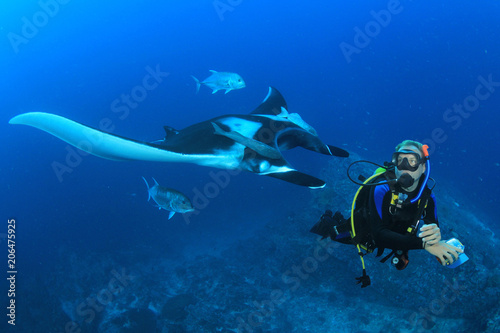 Manta Ray and Scuba diver