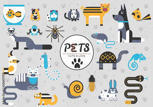 Pets flat illustration concept. Wildlife and home zoo animals vector design icons.
