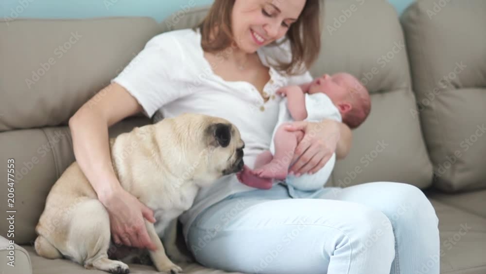 Happy family, Children and animals. A young mother is holding a newborn baby in her arms, sitting on the couch. Nearby is a domestic dog, a Pekingese, and licks a child's leg Happy family, Children and animals. A young mother is holding a newborn baby in her arms, sitting on the couch. Nearby is a domestic dog, a Pekingese, and licks a child's leg
