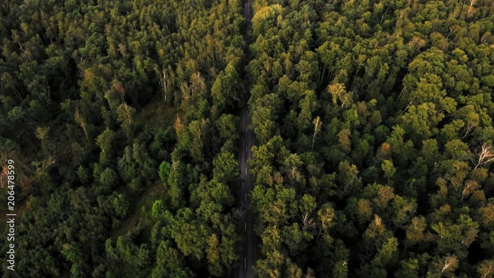 Aerial view flying over new empty two lane forest road with green trees of dense woods growing both sides. Magnificent view of beautiful autumn or summer forest with tall green, yellow and red trees. Aerial view flying over new empty two lane forest road with green trees of dense woods growing both sides. Magnificent view of beautiful autumn or summer forest with tall green, yellow and red trees.