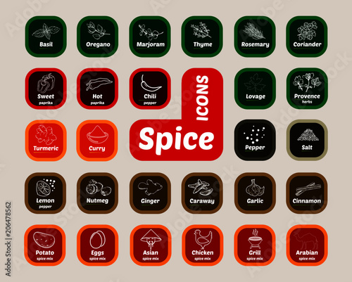 Vector set of popular spices. Can be used as price tag, label.