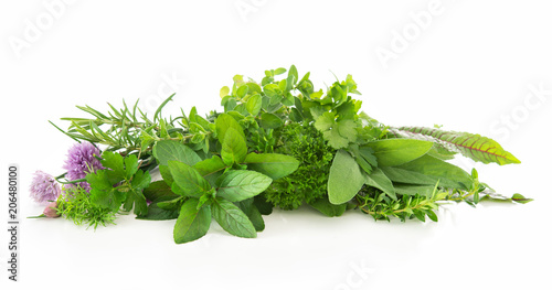 Fototapeta Świeże ogrodowe ziela na białym tle do kuchni