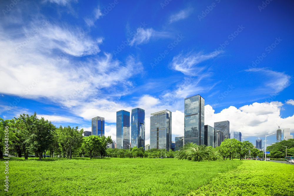 City park under blue sky with Downtown Skyline in the Background