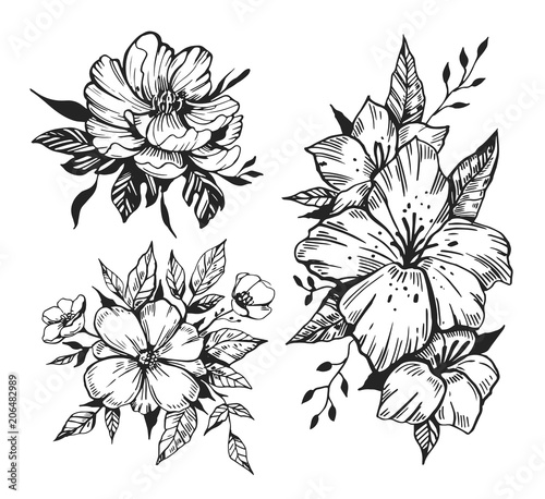 Fototapeta Naklejka Na Ścianę i Meble -  Flowers sketches