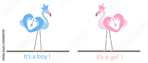 Flamingos. Baby foot prints. Baby gender reveal. Baby girl. Baby boy. Baby shower greeting card