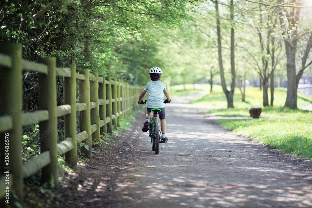 Naklejka premium Boy riding his bike