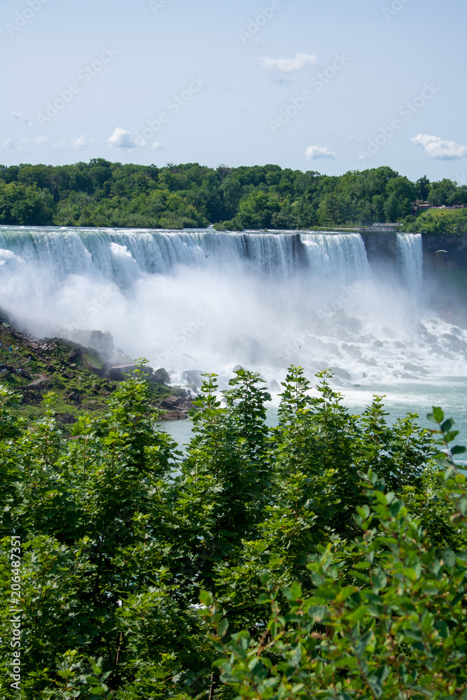 Fototapeta premium Niagara falls