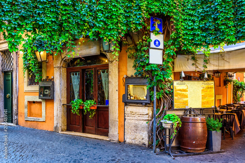 Cozy old street in Trastevere in Rome, Italy © Ekaterina Belova