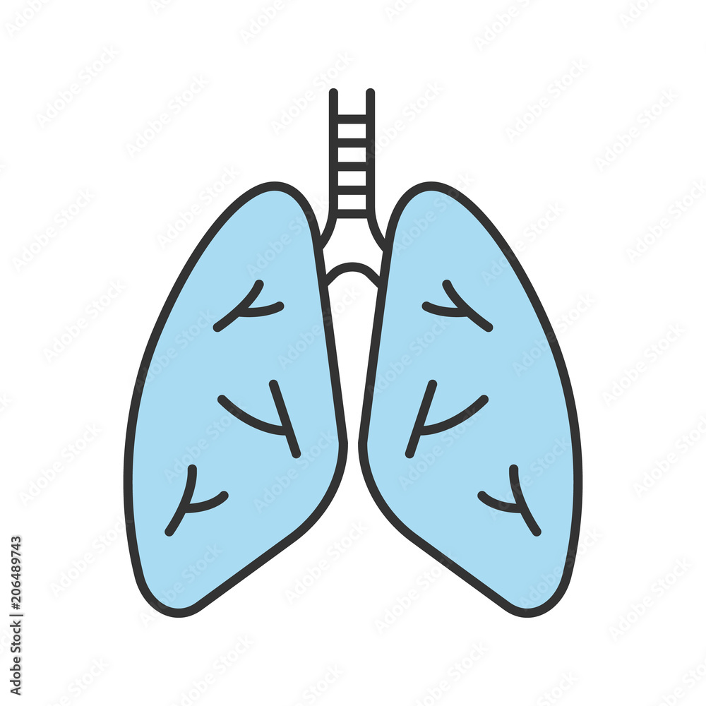 Human lungs color icon Human lungs color icon