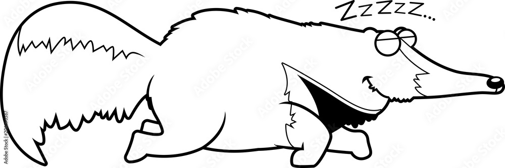Cartoon Anteater Sleeping Cartoon Anteater Sleeping