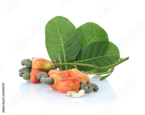 Cashew fruit (Anacardium occidentale) isolated on white background photo