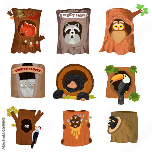 Animals in hollow vector animalistic character in tree hollowed hole illustration set of birds owl with owlets on treetops and squirrels or hedgehogs in hollowtree isolated on white background
