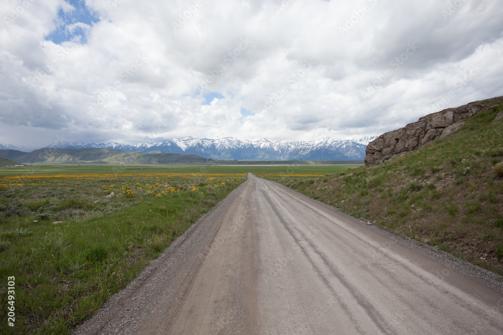 Fototapeta premium Dirt Road to the Horizon