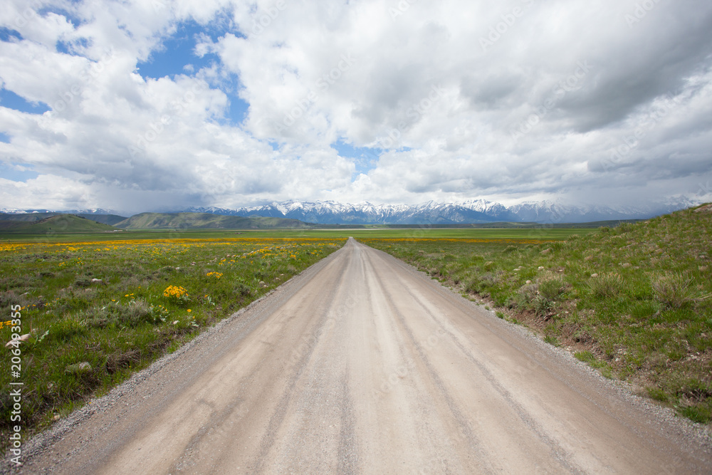 Dirt Road to the Horizon