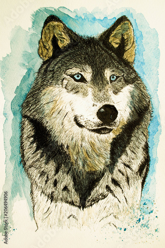 Watercolor painting, Grey Wolf