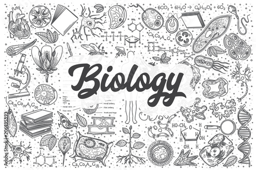 Valokuvatapetti Hand drawn biology vector doodle set.
