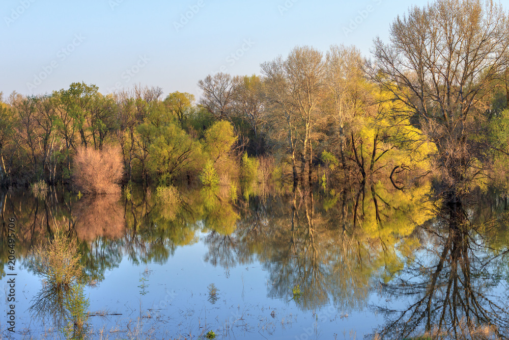 Obraz premium Flooded spring forest. Russia, river Don